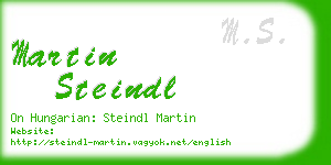 martin steindl business card